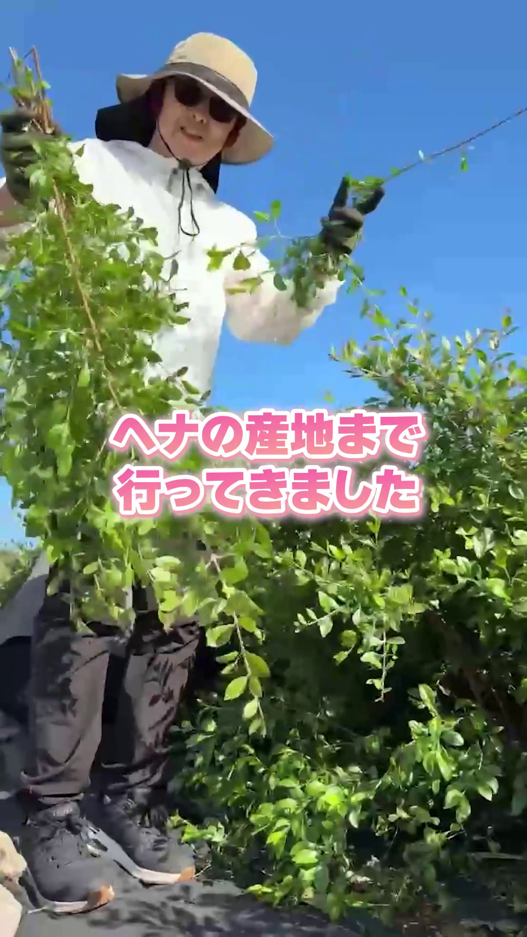 カミーユ様 ケーススタディ